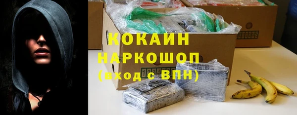 бошки Дмитров