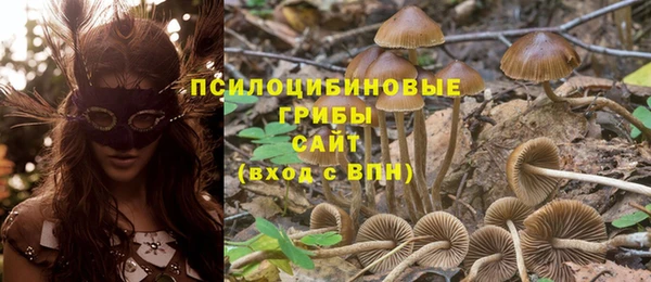 бошки Дмитров