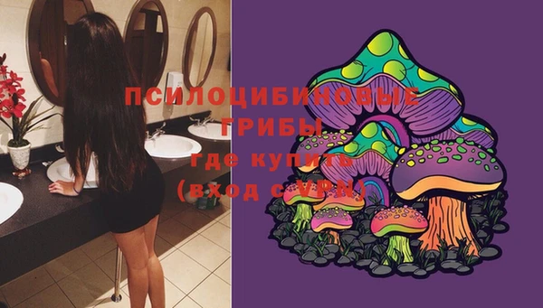 мет Гусев
