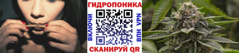 Каннабис сатива  Купить где  Фокино 